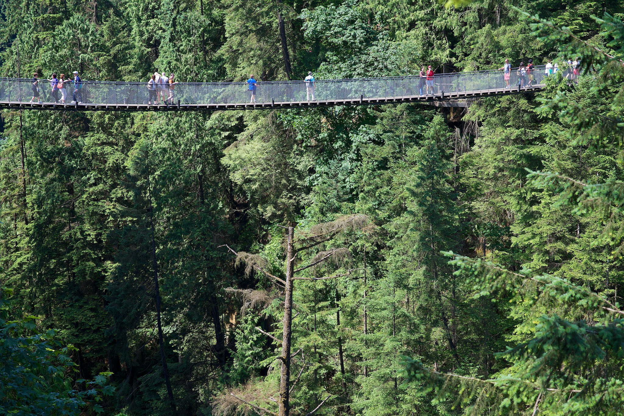 Vankuveris - Kapilano kabantis tiltas - West Vancouver | Secret World Trip Planner