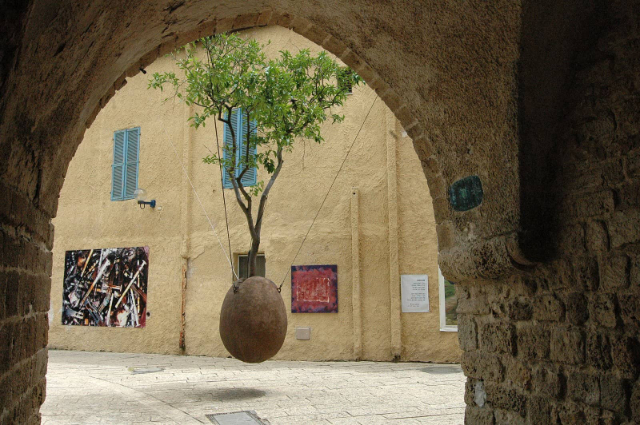 Дарахти афлесун овезон - Tel Aviv-Yafo | Secret World Trip Planner