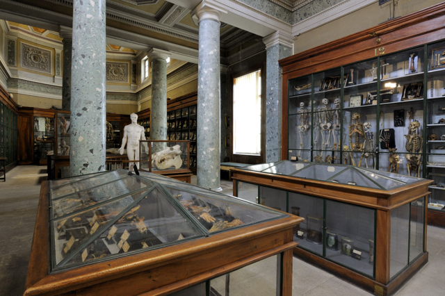Musée d’Anatomie de Montpellier - Montpellier | Secret World Trip Planner