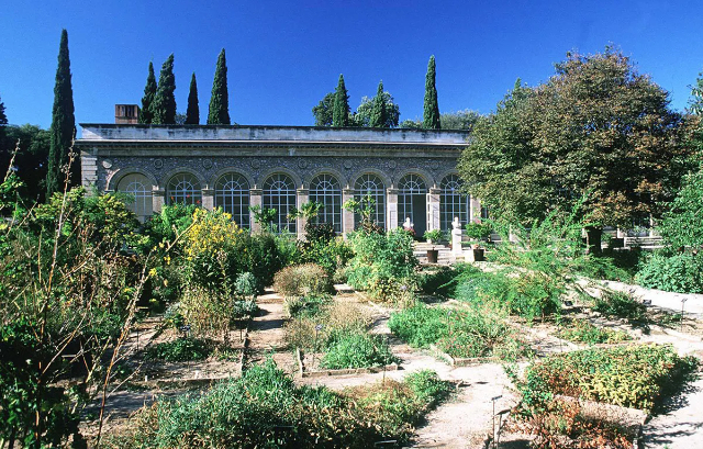 Jardin des Plantes - Montpellier | Secret World Trip Planner