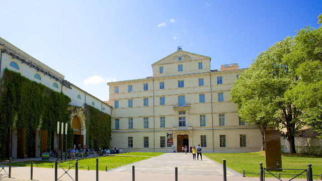Museo Fabre - Montpellier | Secret World Trip Planner