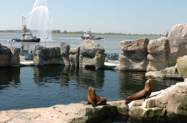 Zoo by the sea - Bremerhaven | Secret World Trip Planner