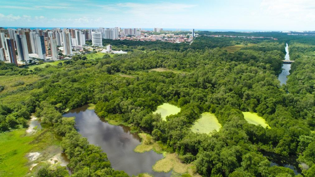 Parque Estadual do Cocó - Fortaleza - CE | Secret World Trip Planner
