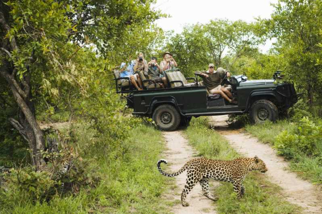 Wilpattu National Park | Secret World Trip Planner