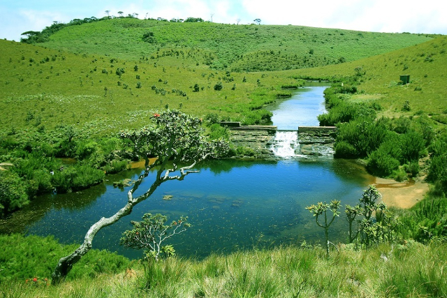 Horton Plains National Park | Secret World Trip Planner