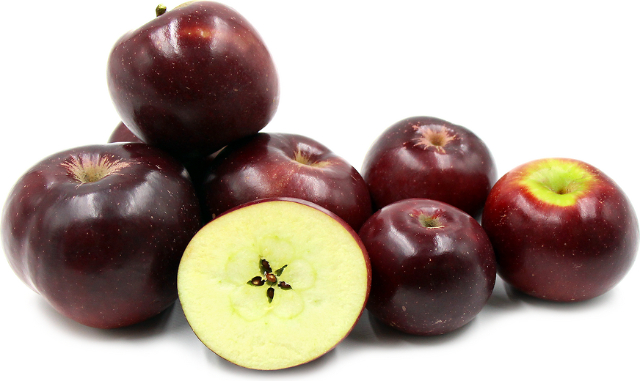 Arkansas Black Apple — Clarksville