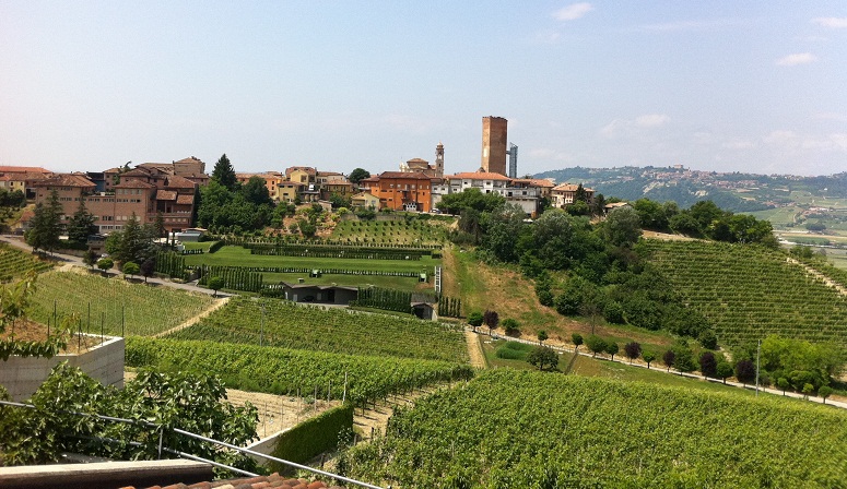 Κορυφαία κρασιά του κόσμου: Barbaresco - Barbaresco | Secret World Trip Planner