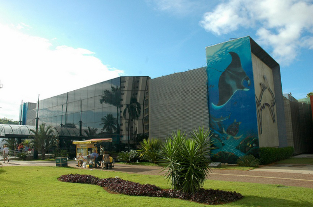 Acquario municipale di Santos - Santos - SP | Secret World Trip Planner