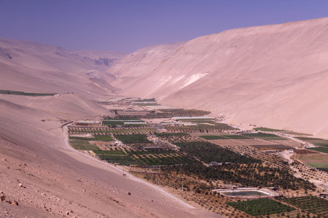 Vini della Valle dell'Azapa - Arica | Secret World Trip Planner