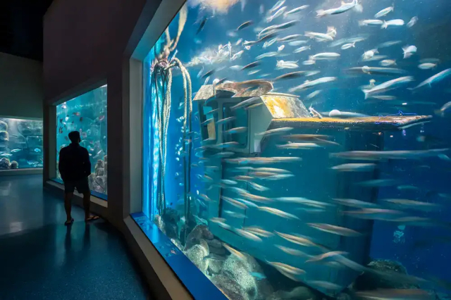 Aquarium Finisterrae - A Coruña | Secret World Trip Planner