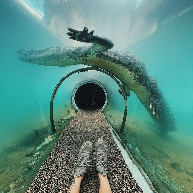 Miami-Dade Zoological Park - Miami | Secret World Trip Planner