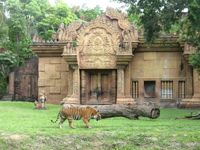 Miami-Dade Zoological Park - Miami | Secret World Trip Planner