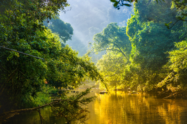 Parco Nazionale Corcovado - Los Patos Sirena Trail | Secret World Trip Planner