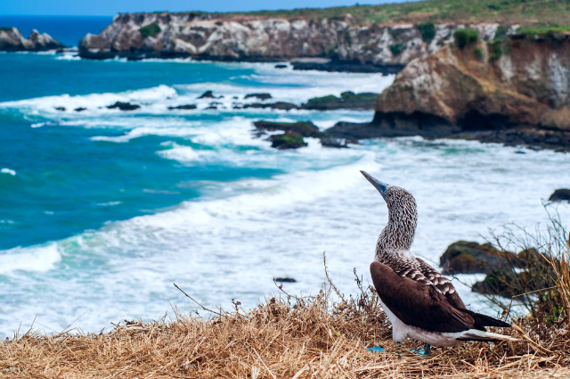 Machalilla National Park - Puerto López | Secret World Trip Planner