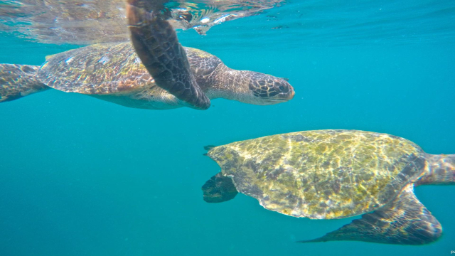 Machalilla National Park - Puerto López | Secret World Trip Planner