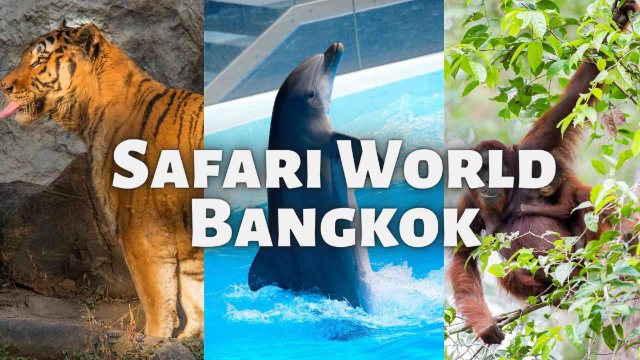 Safari Bancác Domhanda - Khet Khlong Sam Wa | Secret World Trip Planner