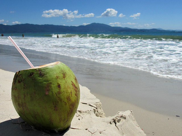 Il Coco Verde - Recife | Secret World Trip Planner