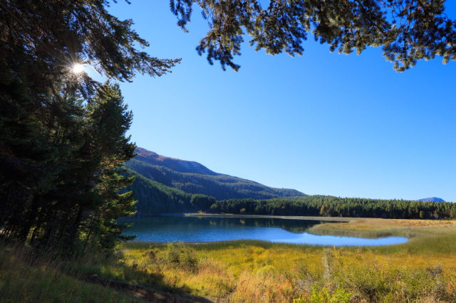 Riserva Nazionale Coyhaique - Coyhaique | Secret World Trip Planner