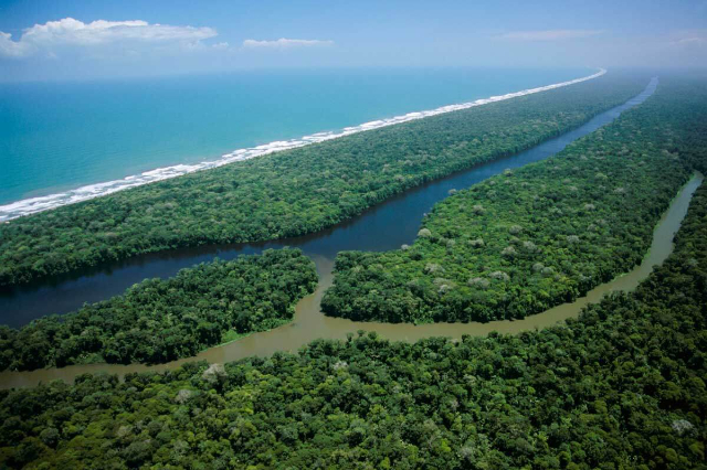 Parco Nazionale Tortuguero - Provincia di Limón | Secret World Trip Planner