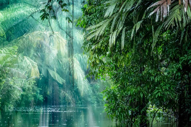 Parco Nazionale Tortuguero - Provincia di Limón | Secret World Trip Planner