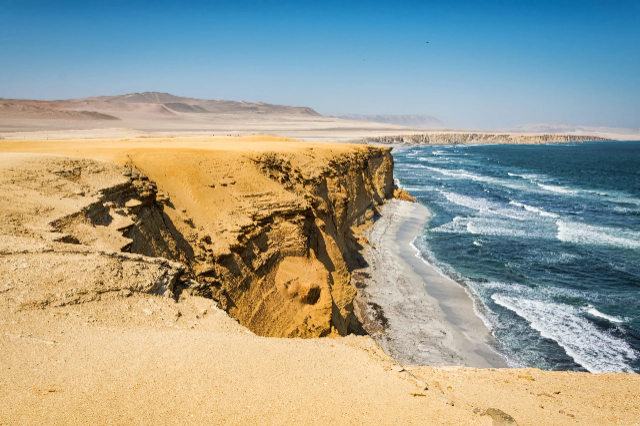  Riserva nazionale di Paracas