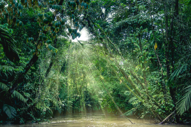 Національний парк Тортугеро - Roxana | Secret World Trip Planner