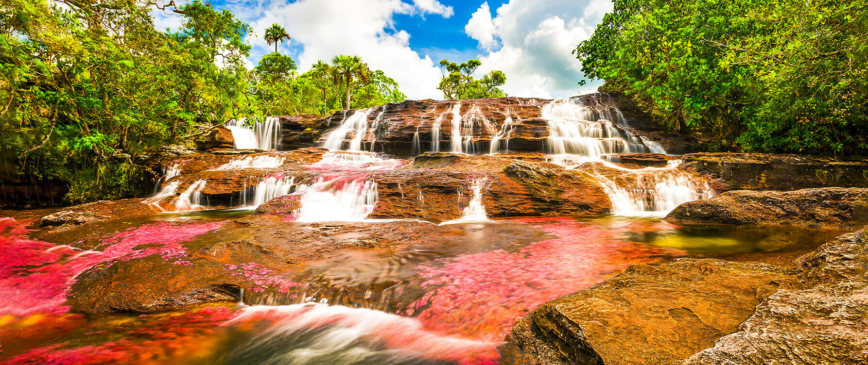 Cano Cristales - Le fleuve aux cinq couleurs ( Colombie ) — Caño Cristales
