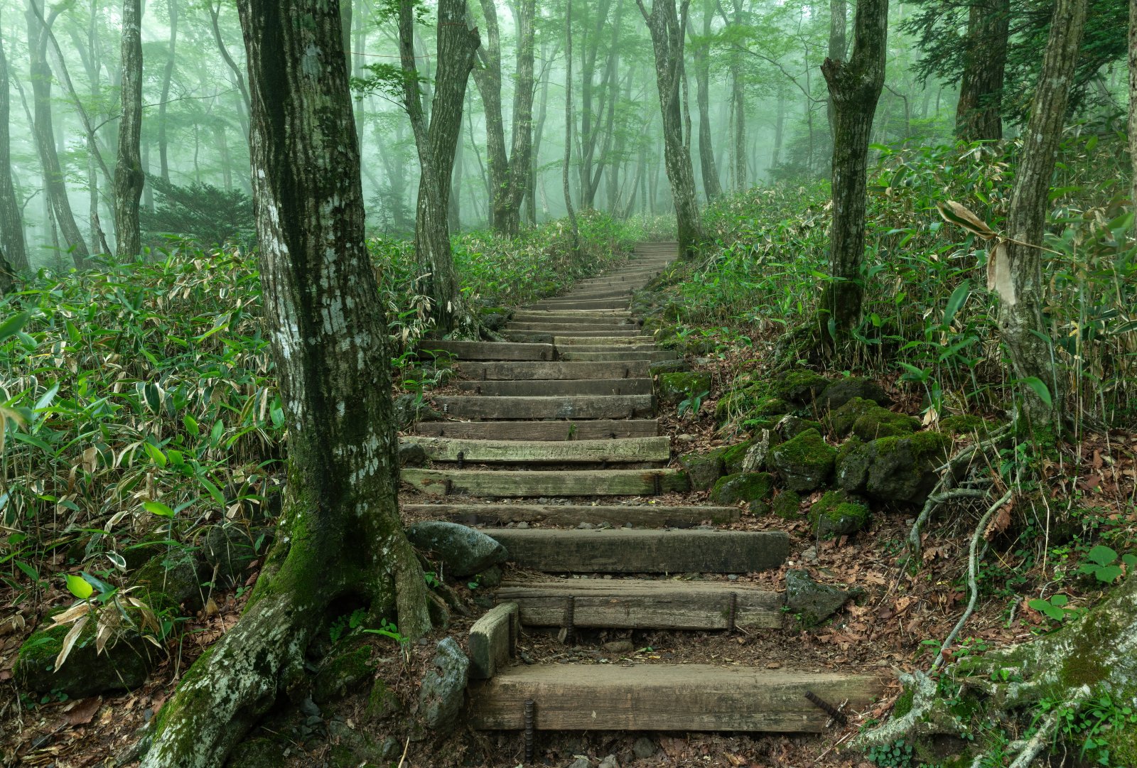 Corea | Jeju-do: L'incredibile isola vulcanica - Jeju-do | Secret World Trip Planner