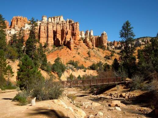 tropic | Mossy Cave trail — Tropic