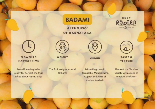 Badami the Alphonso of Karnataka - Badami | Secret World Trip Planner