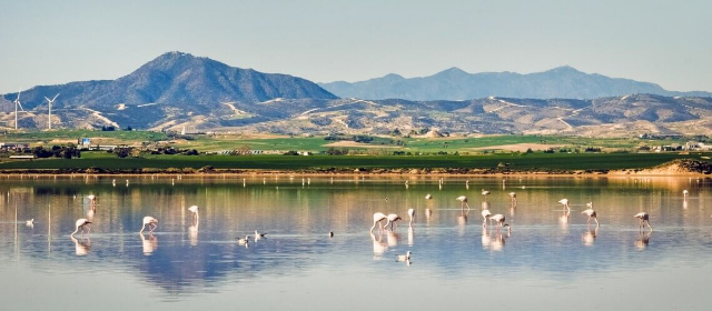 Saltsjön i Larnaca - Larnaca | Secret World Trip Planner