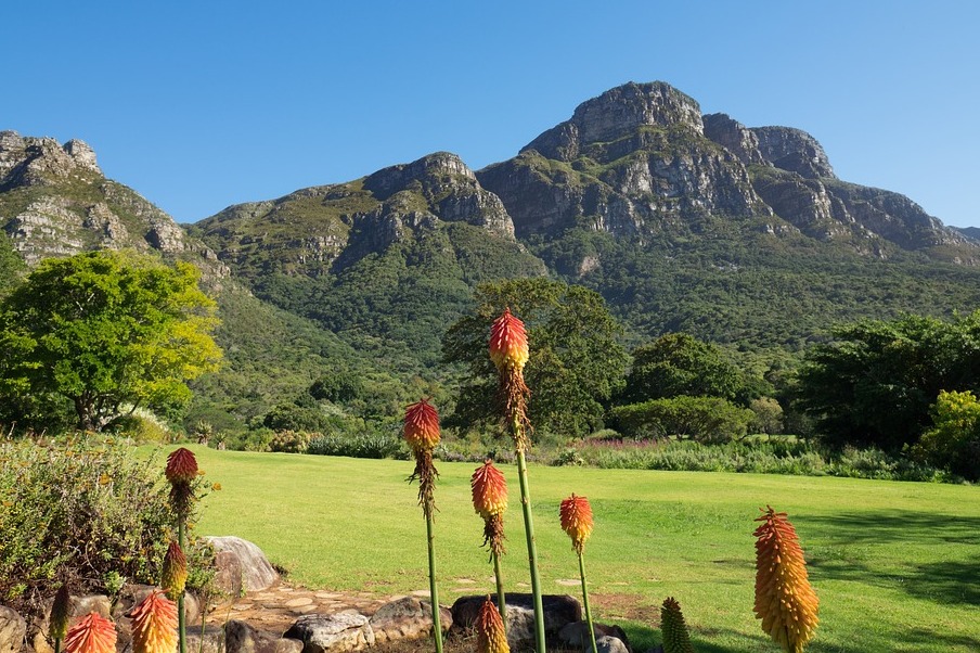 باغ گیاه شناسی ملی Kirstenbosch - Cape Town | Secret World Trip Planner