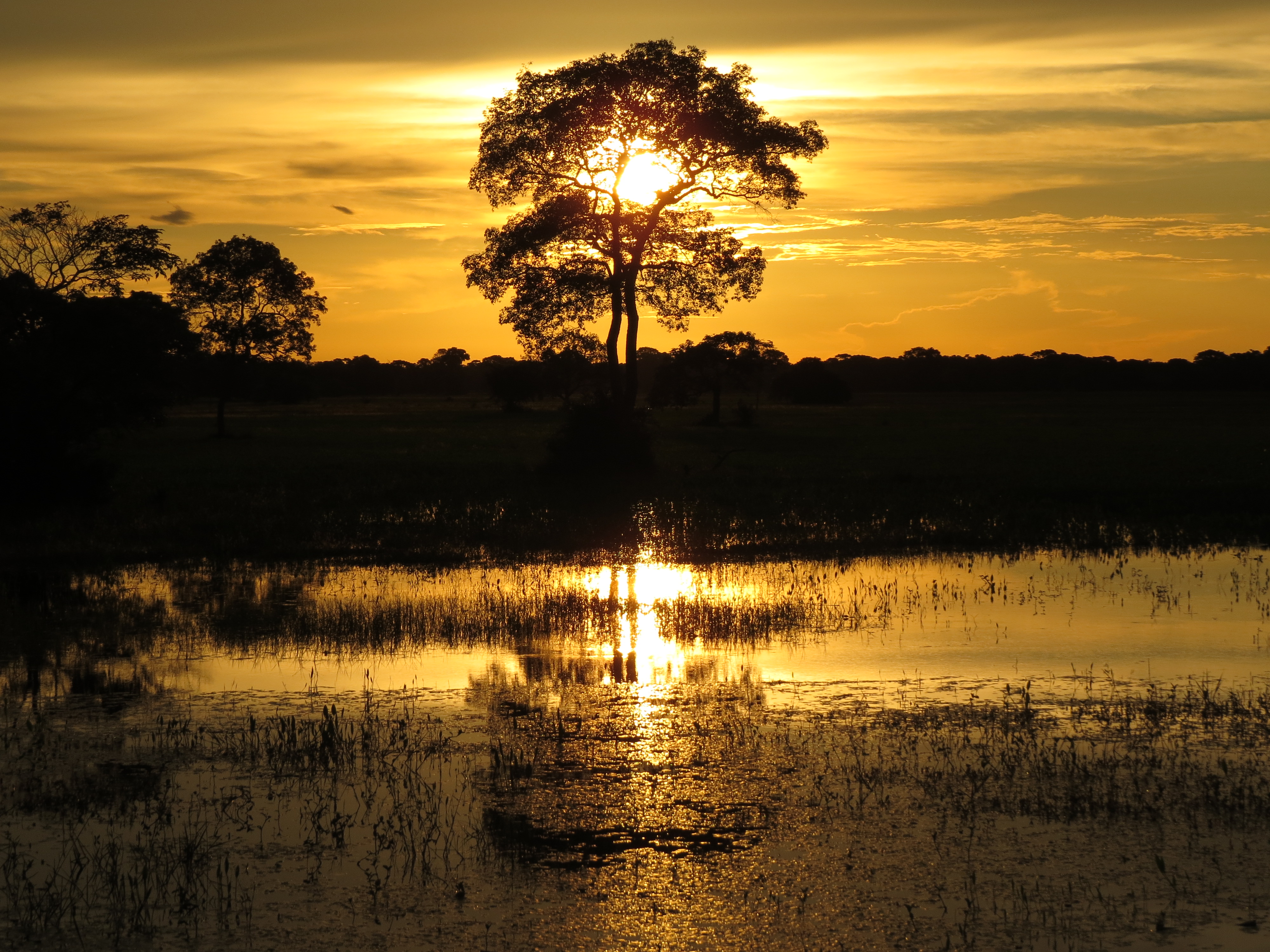 Brazil: Pantanal is the world’s biggest wetland - Poconé - Mato Grosso | Secret World Trip Planner