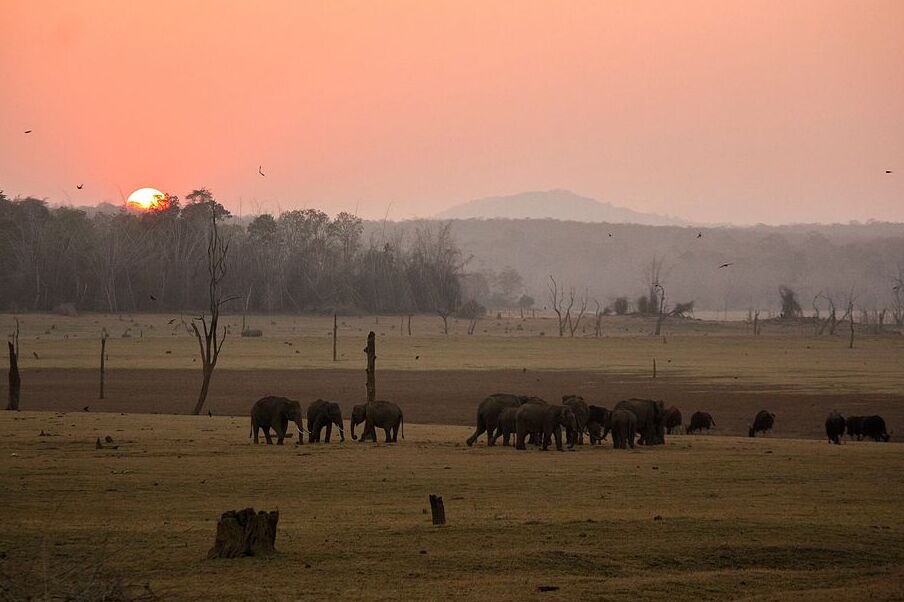 India | Nagarhole National Park (Gandhi Park) - Hunsur | Secret World Trip Planner