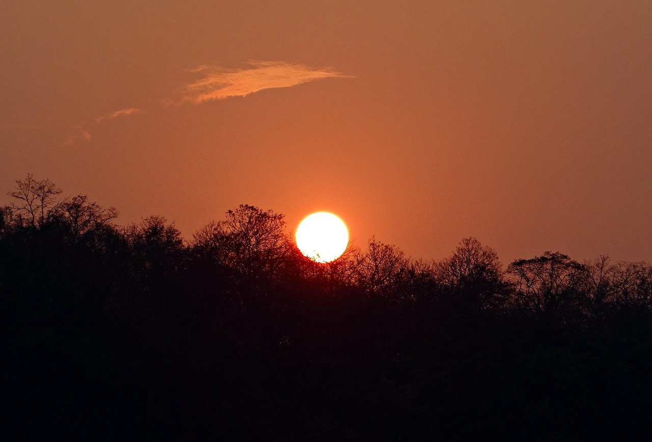 India | Nagarhole National Park (Gandhi Park) - Hunsur | Secret World Trip Planner