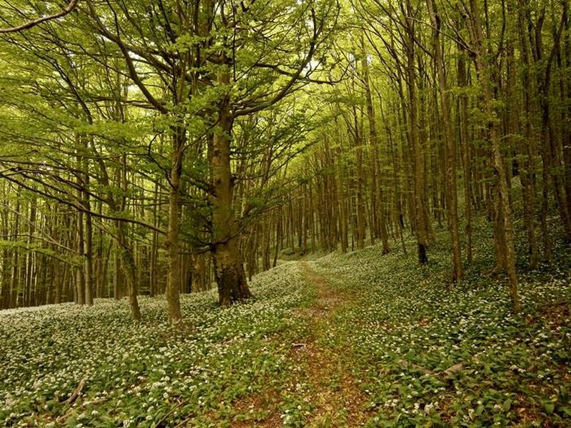 Vertegliaの平野 - Montella | Secret World Trip Planner