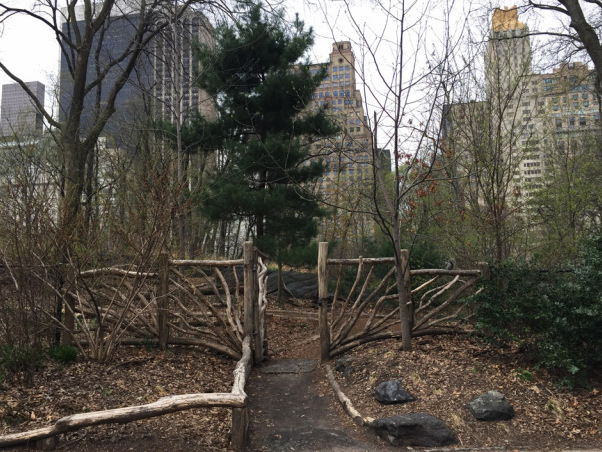 Hallett Nature Sanctuary is a secret slice of paradise - New York | Secret World Trip Planner