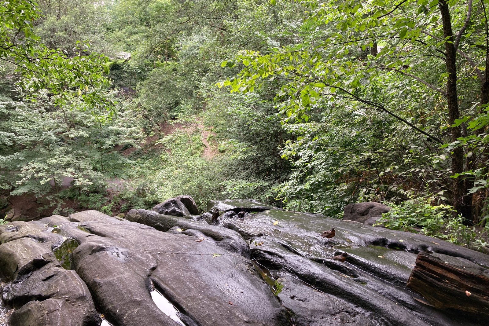 Hallett Nature Sanctuary is a secret slice of paradise - New York | Secret World Trip Planner