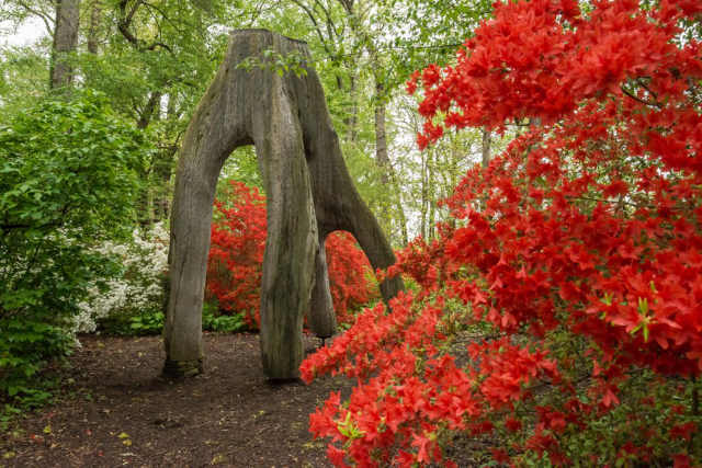 Музей, сад и библиотека Винтертура - Winterthur | Secret World Trip Planner