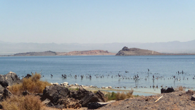 La mer de Salton - Lago Salton | Secret World Trip Planner