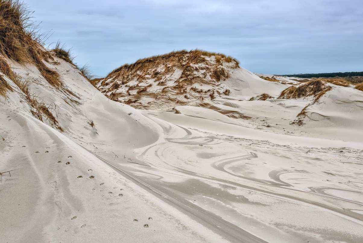 The Sand Dunes in Vietnam is a Surreal Place - Phan Thiet | Secret World Trip Planner