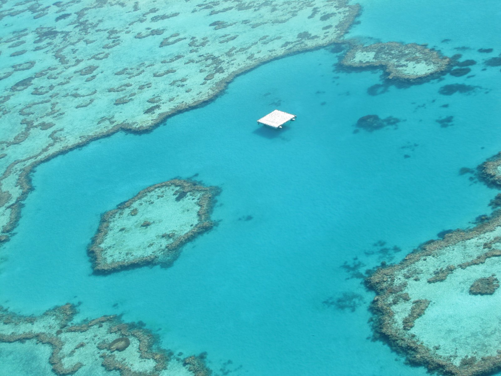 Pitu Kamulyan Alam Donya: Great Barrier Reef - Grande barriera corallina | Secret World Trip Planner