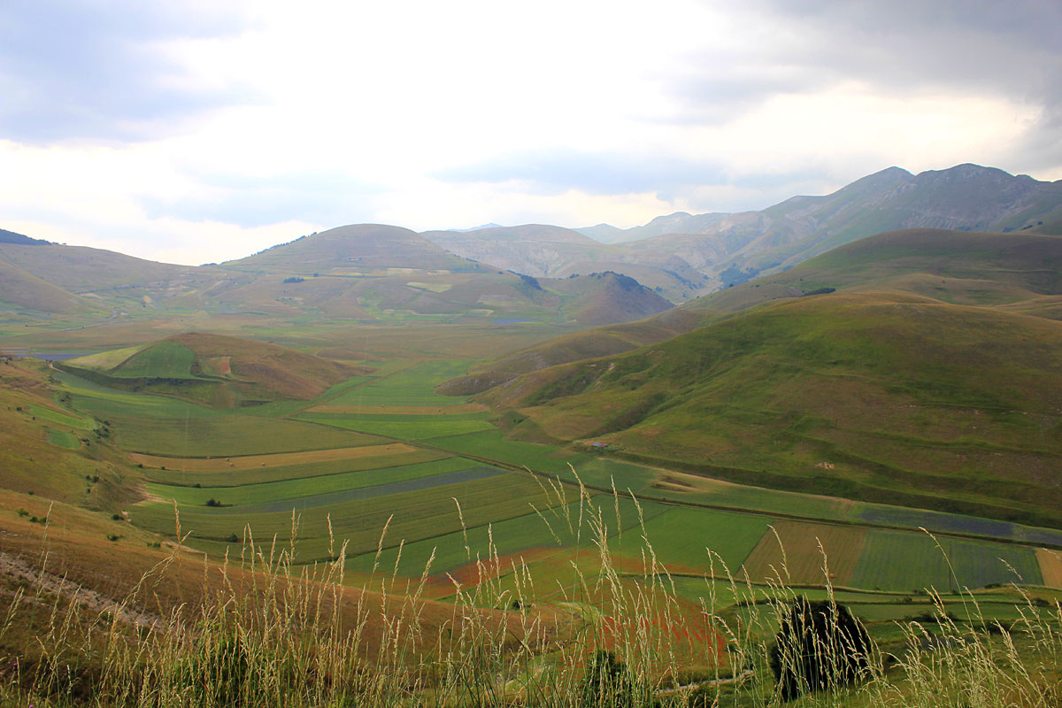 Castelluccio õitsemine - Castelluccio | Secret World Trip Planner