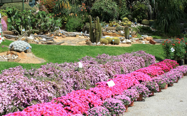 Taman Botani Naples - Napoli | Secret World Trip Planner