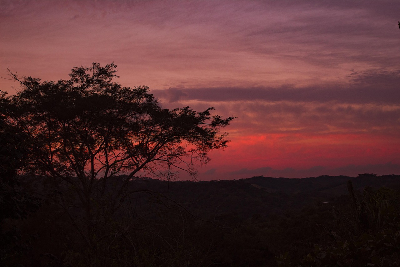 Bolivia | Santa Cruz de la Sierra - Santa Cruz de la Sierra | Secret World Trip Planner