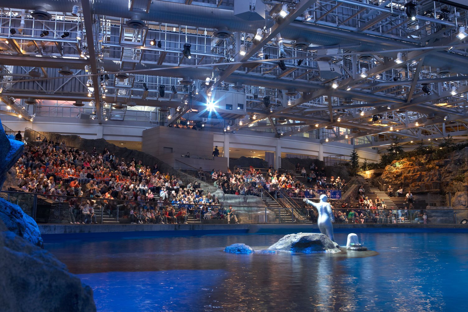 John G. Shedd Aquarium ing Chicago - Chicago | Secret World Trip Planner