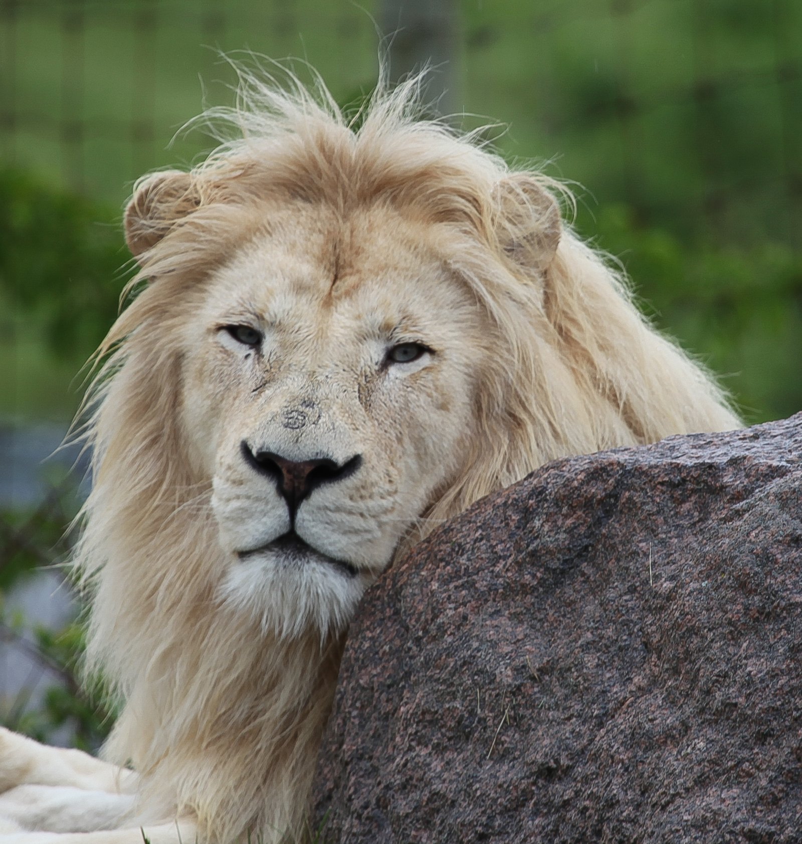 Toronto Zoo | Canada’s largest Zoo - Toronto | Secret World Trip Planner