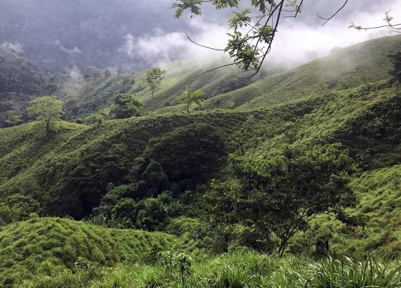 Colombia | Deep in the jungle La Ciudad Perdida - Santa Marta | Secret World Trip Planner