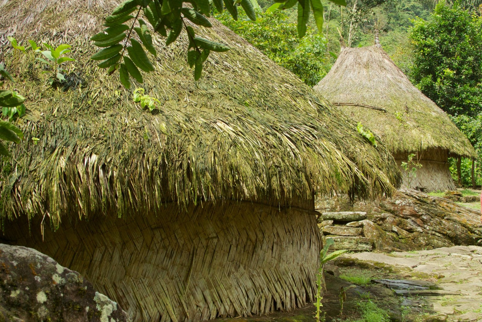 Colombia | Deep in the jungle La Ciudad Perdida - Santa Marta | Secret World Trip Planner