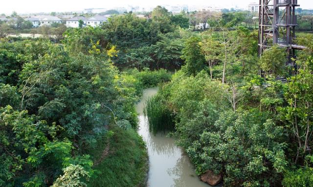 Metro Forest - Khet Prawet | Secret World Trip Planner